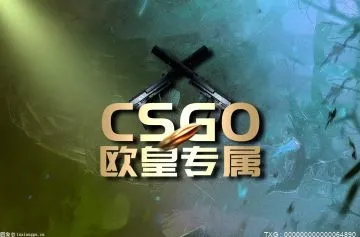 焦点消息！csgo怎么拆弹？csgo下包按什