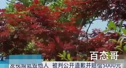 女子发视频诋毁儿子前女友被罚  这