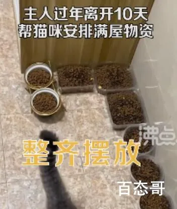 主人离家10天给猫备10碗粮17碗水 