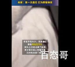 男子在电竞酒店枕头下发现一窝老鼠