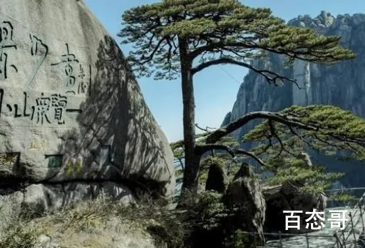 迎客松无客可迎 黄山旅游业遭重创 背后的真相让人惊愕