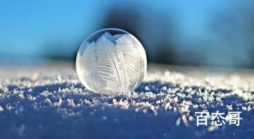 《假爸爸》剧组遗留人造雪惹怒商户 剧组方已对商户进行赔偿并回购受损食材