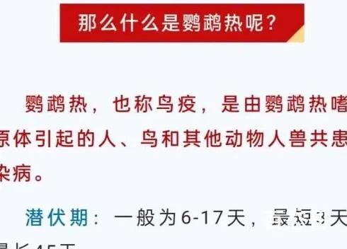 广东一病例高烧不退潜伏45天 背后的真相让人始料未及