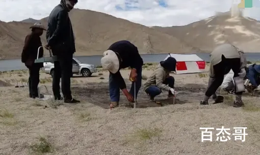 西藏发现8000年前磨制石针 西藏夏