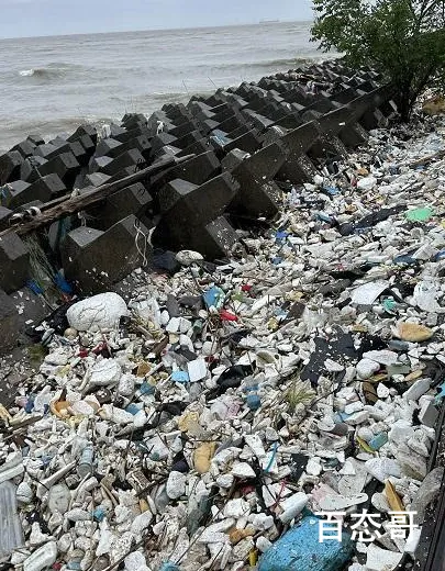 台风烟花过境后千米江堤变垃圾堆场