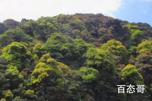 遇难地质人员进山为何穿一次性雨衣