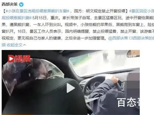 小孩在景区违规投喂惹黑熊扒车窗 