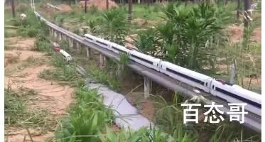 河南小伙菜地里建微型高铁走红 小伙荣获最美大学生