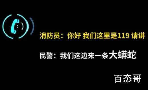 40斤蟒蛇爬进派出所110求助119 该蛇为国家二级保护动物网纹蟒