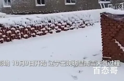 辽宁多地大雪 积雪深处没过脚踝 带