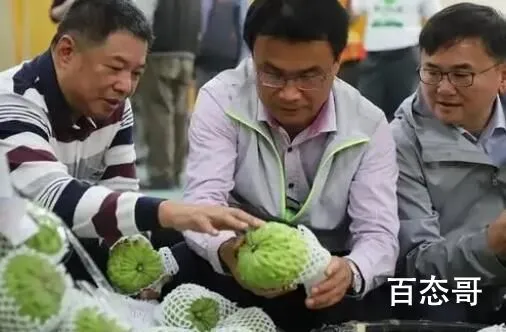 台湾几千吨凤梨释迦滞销 不是说自己吃吗？你们倒是吃呀！