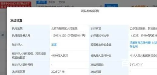 王濛所持445万股权被冻结 为啥被冻结？