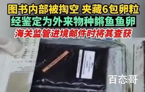 图书被掏空内藏鳉鱼鱼卵 到底是怎