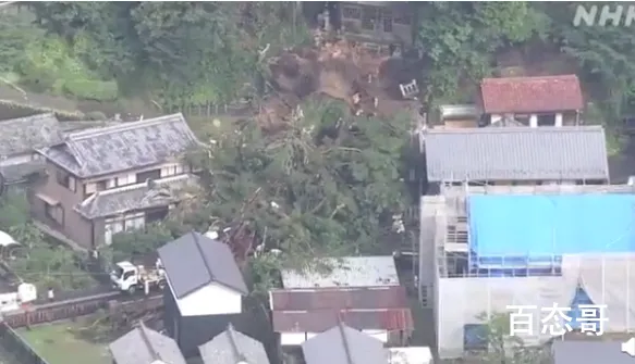 日本千年神树因大雨连根倒地 具体