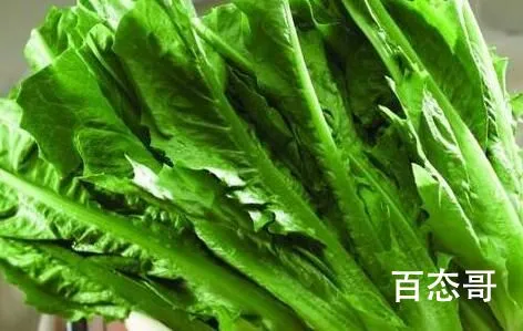 油麦菜和生菜是一个菜吗 生菜别名