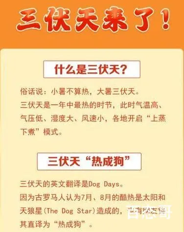 三伏天为啥是减肥的好时候 三伏天是什么时间