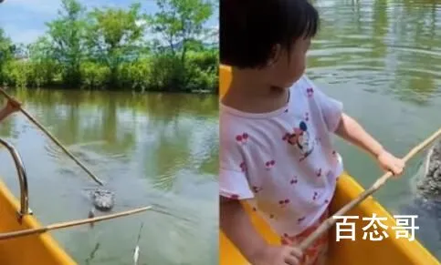 南京一动物园推出钓鳄鱼项目 都闪开我要跳下去跟鳄鱼单挑