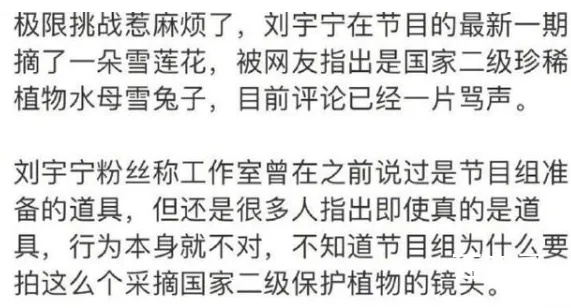 极限挑战节目组致歉 并表示并没有真的去采摘水母雪兔子