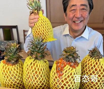 安倍晒与台湾凤梨合照 安倍与台湾