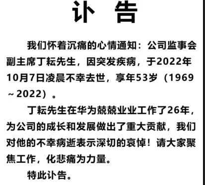 华为监事会副主席丁耘去世 丁耘个