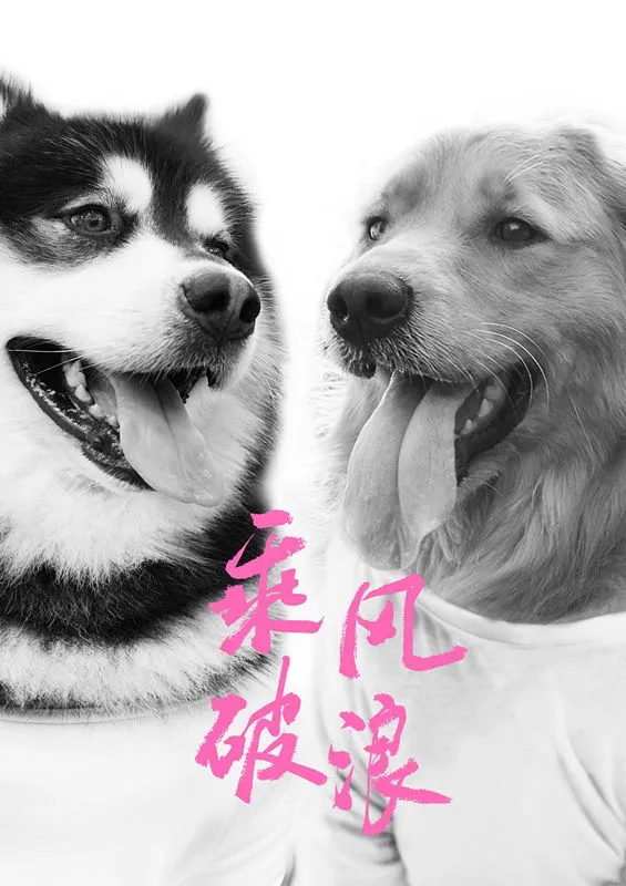 韩寒两只爱犬助阵《乘风破浪》，“小