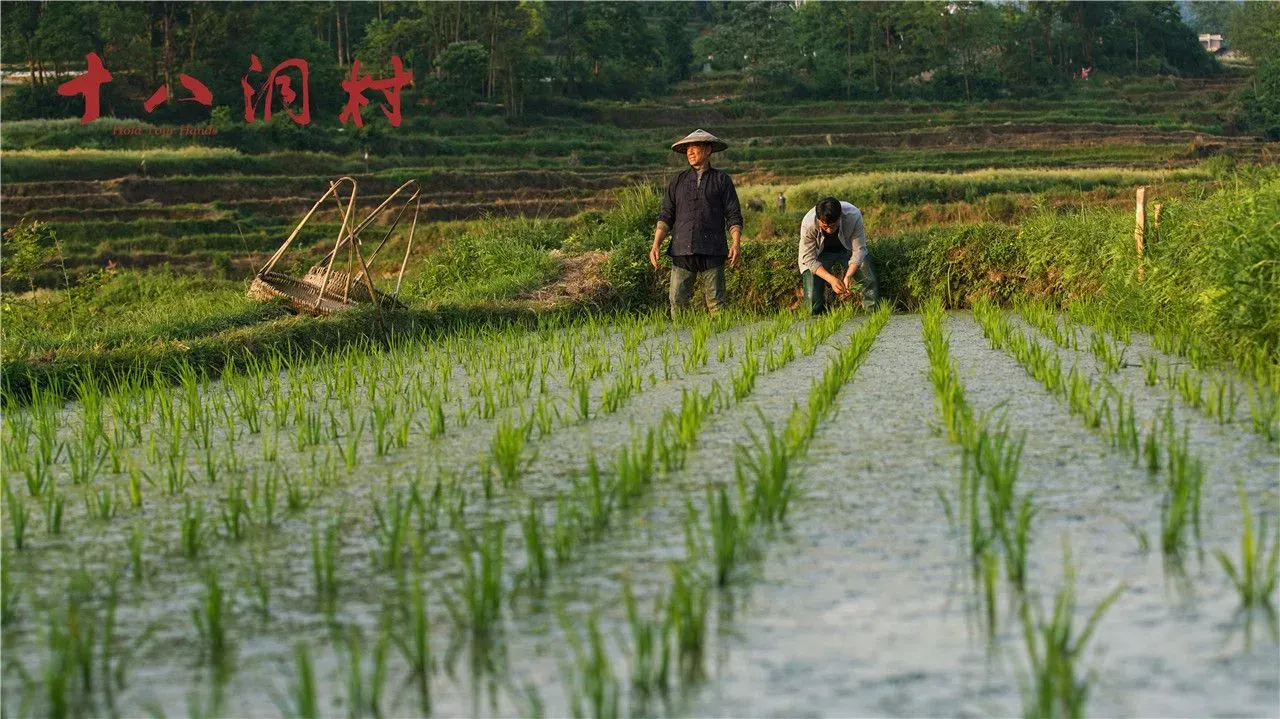 《十八洞村》曝光首款预告片，王学圻陈瑾共同演绎人生悲欢