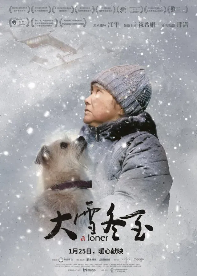 搭档过黄渤和邓超的“明星狗”，在《大雪冬至》飙戏关爱空巢老人