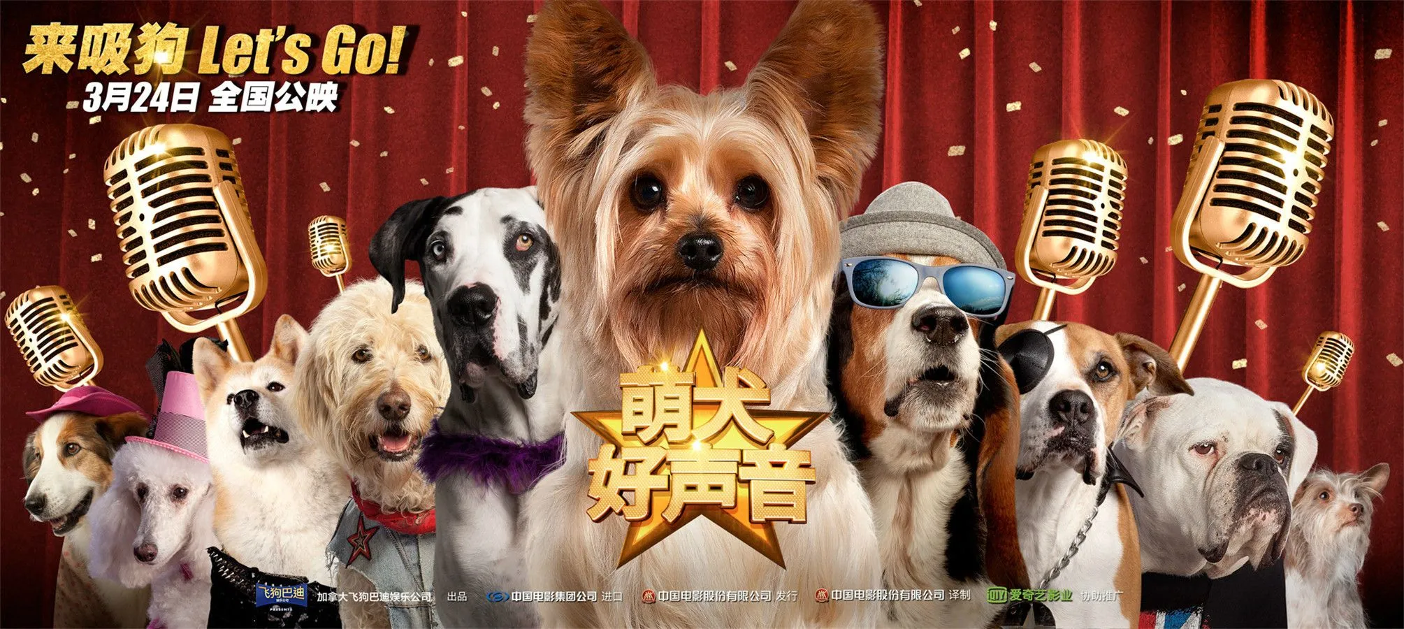 《萌犬好声音》明日上映，选秀汪追梦