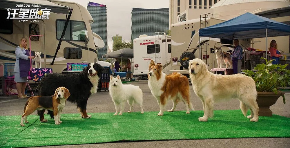 《汪星卧底》全阵容海报萌犬集结，家