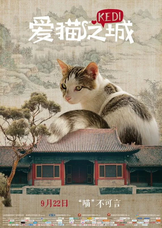 《爱猫之城》中国风海报曝光，土耳其