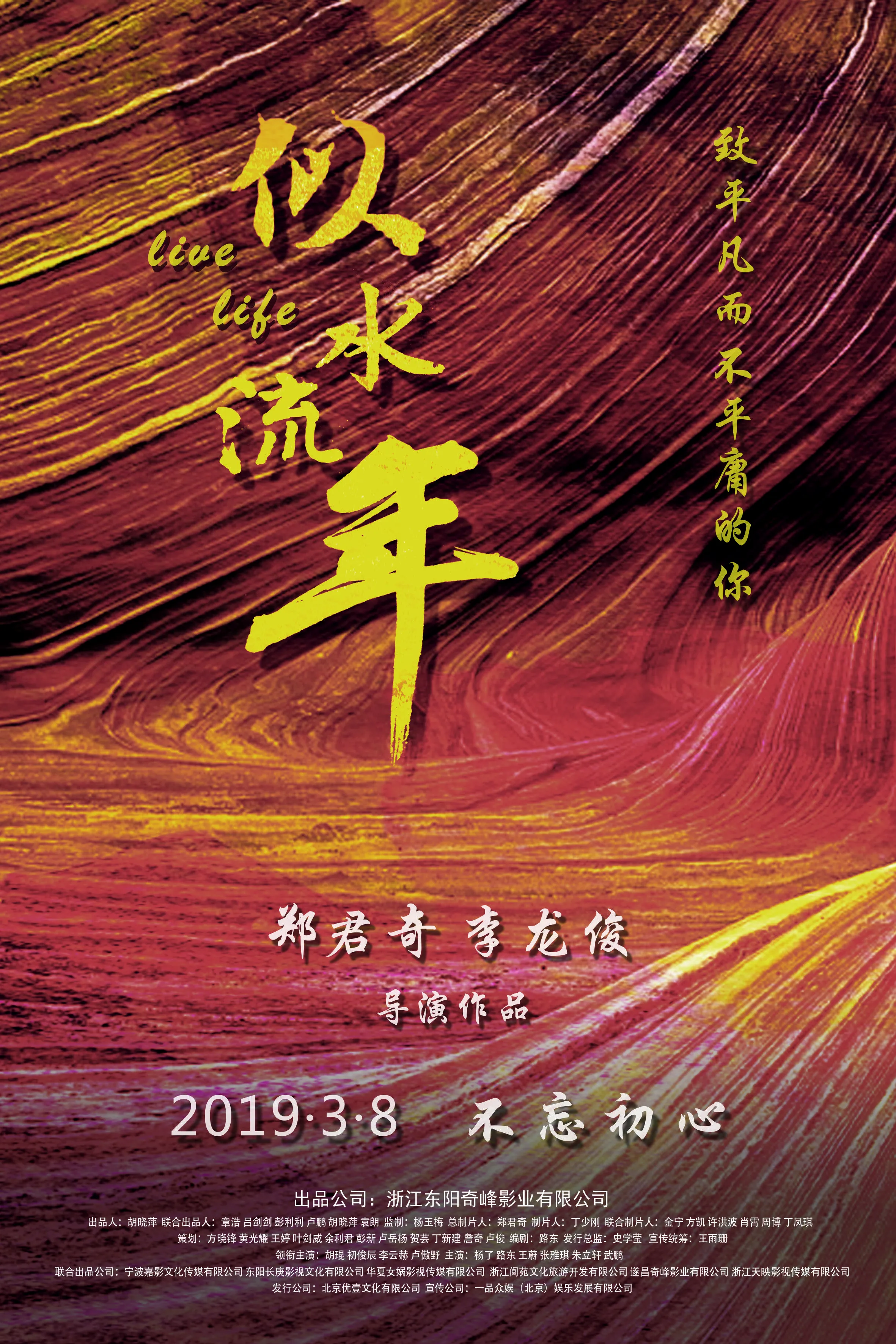 《似水流年》首发预告海报，定档2019