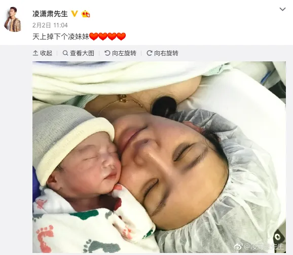 凌潇肃众筹给二胎女儿起名，不要“品