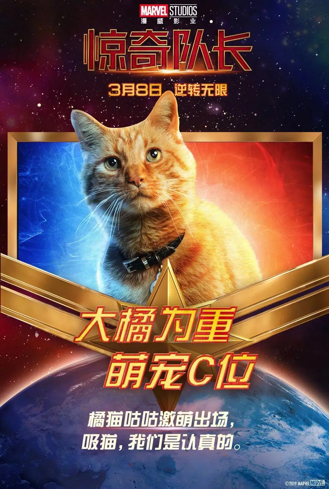 惊队的橘猫有可能回归《复联4》，网