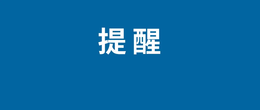 社内相亲什么时候更新多久更新一集