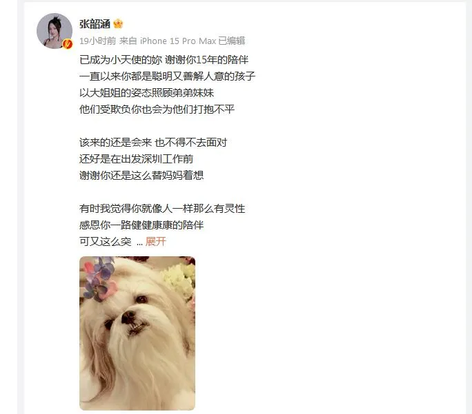 张韶涵的狗狗离开了 张韶涵发长文