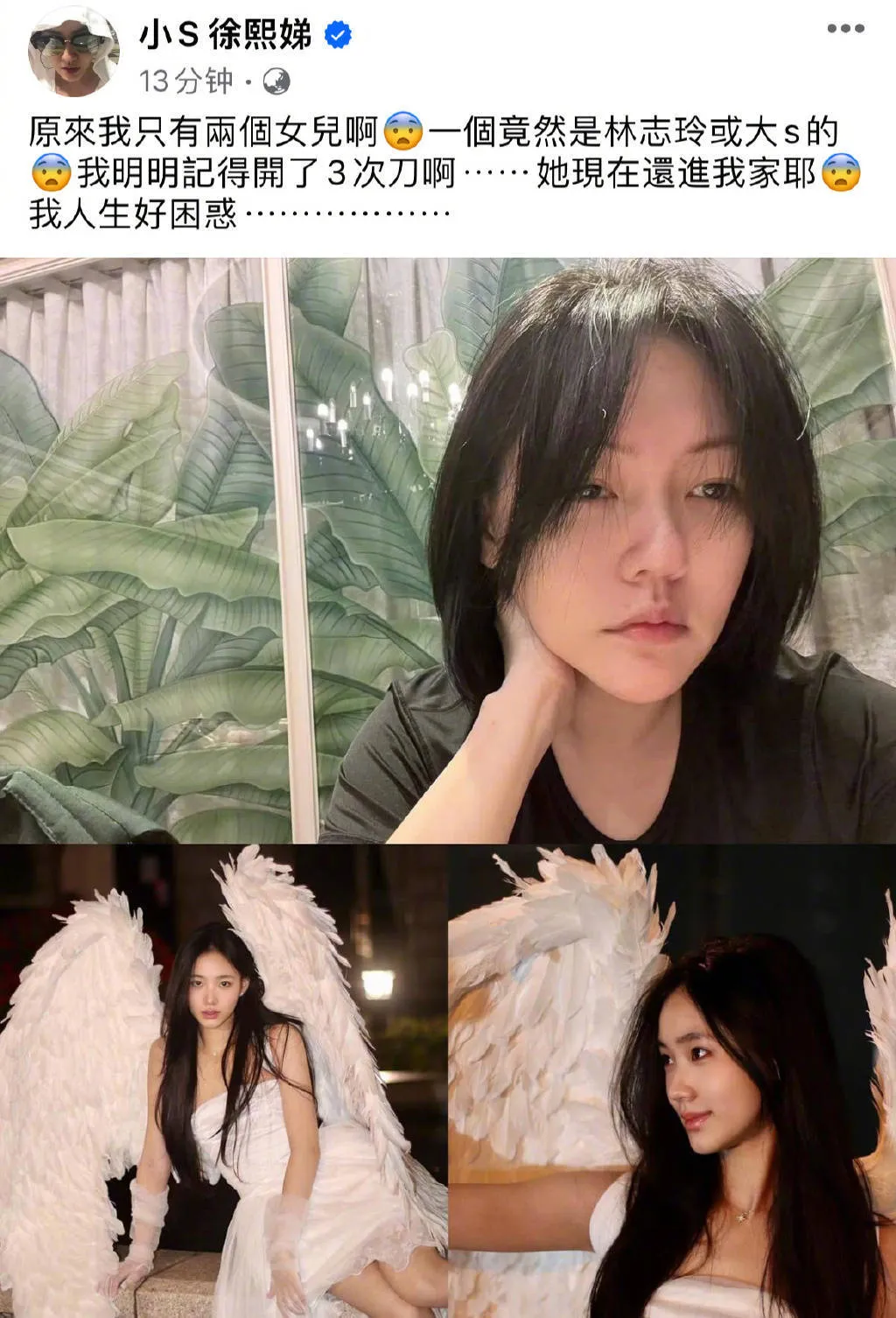 小S认证二女儿长得像林志玲 女儿Li